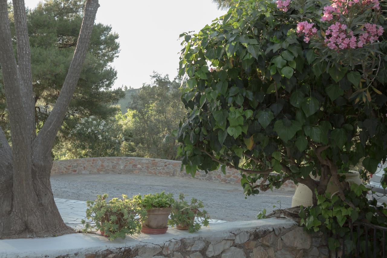 Villa Elpiniki Troulos Esterno foto